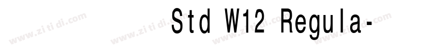 ＤＦ堂堂体 Std W12 Regula字体转换